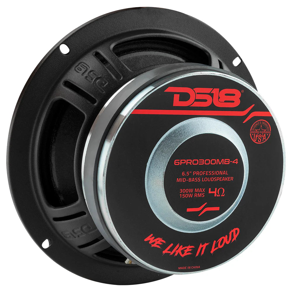 DS18 6PRO300MB-4